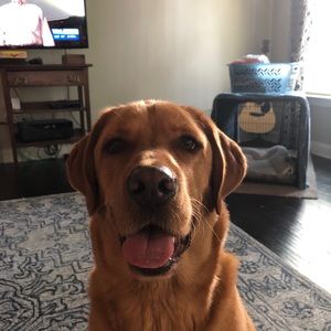 Meet your Posher, Stephen